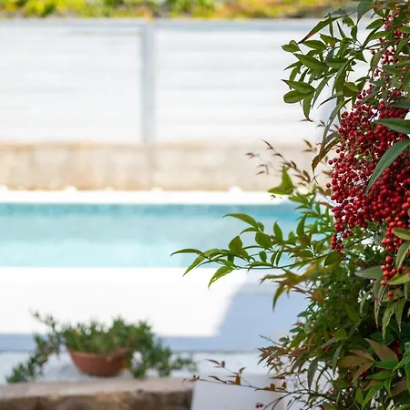 Apartman Adriana On Peaceful Location With Pool Póla
